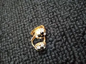 Stainless Earpins