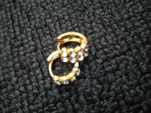 Stainless Steel Earpins