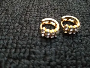 Stainless Steel Earpins