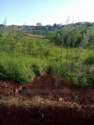 Nakwero Two Plots of Land Near Tarmack on Sale