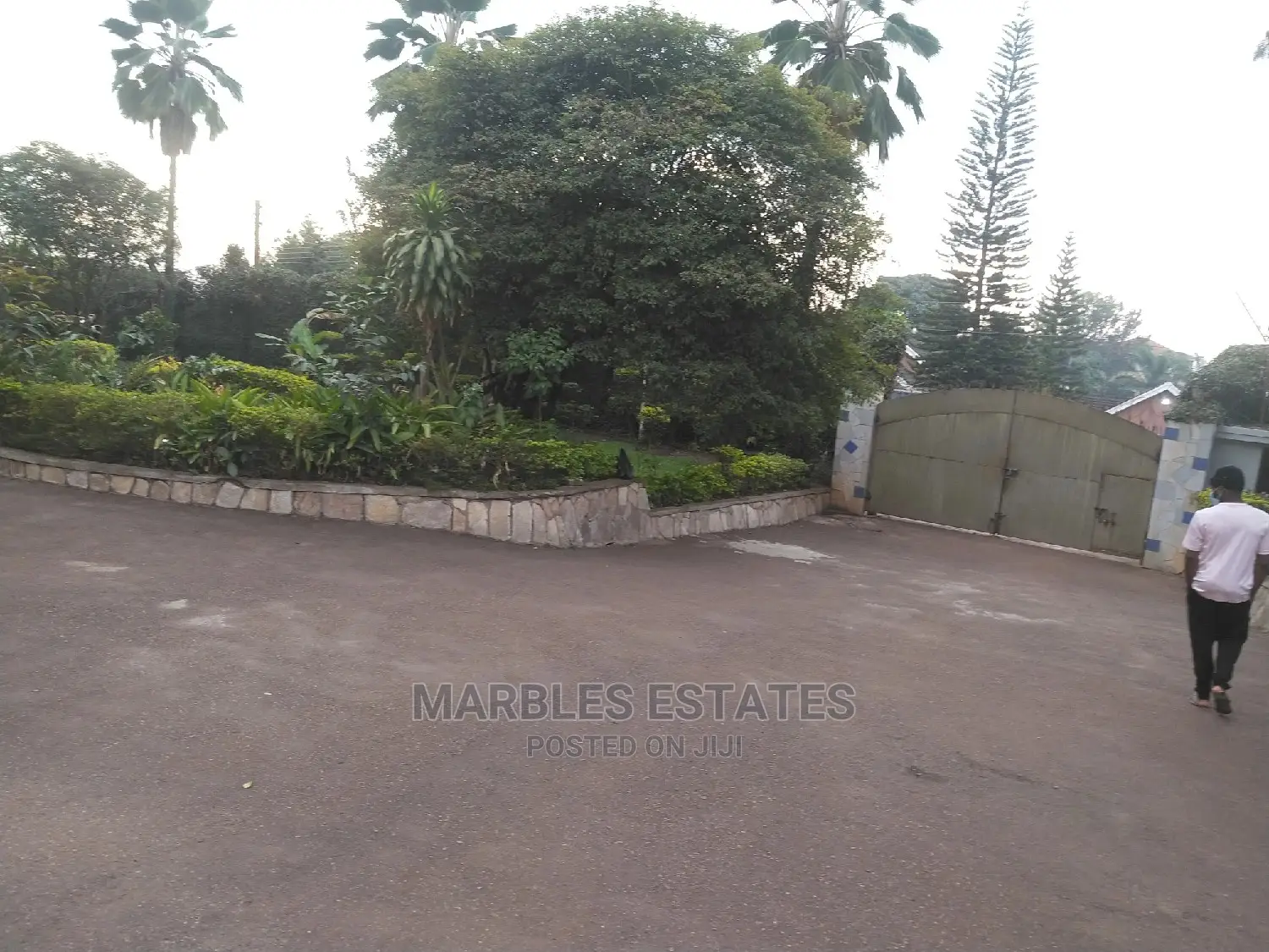 5bdrm House in Kololo, Central Division for rent