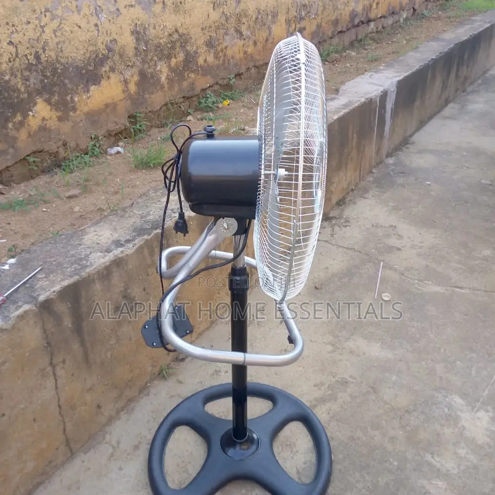 Fan