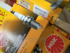 Ngk Plugs and Denso