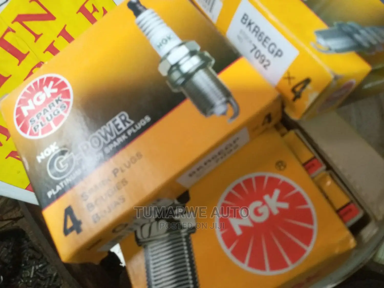 Ngk Plugs and Denso