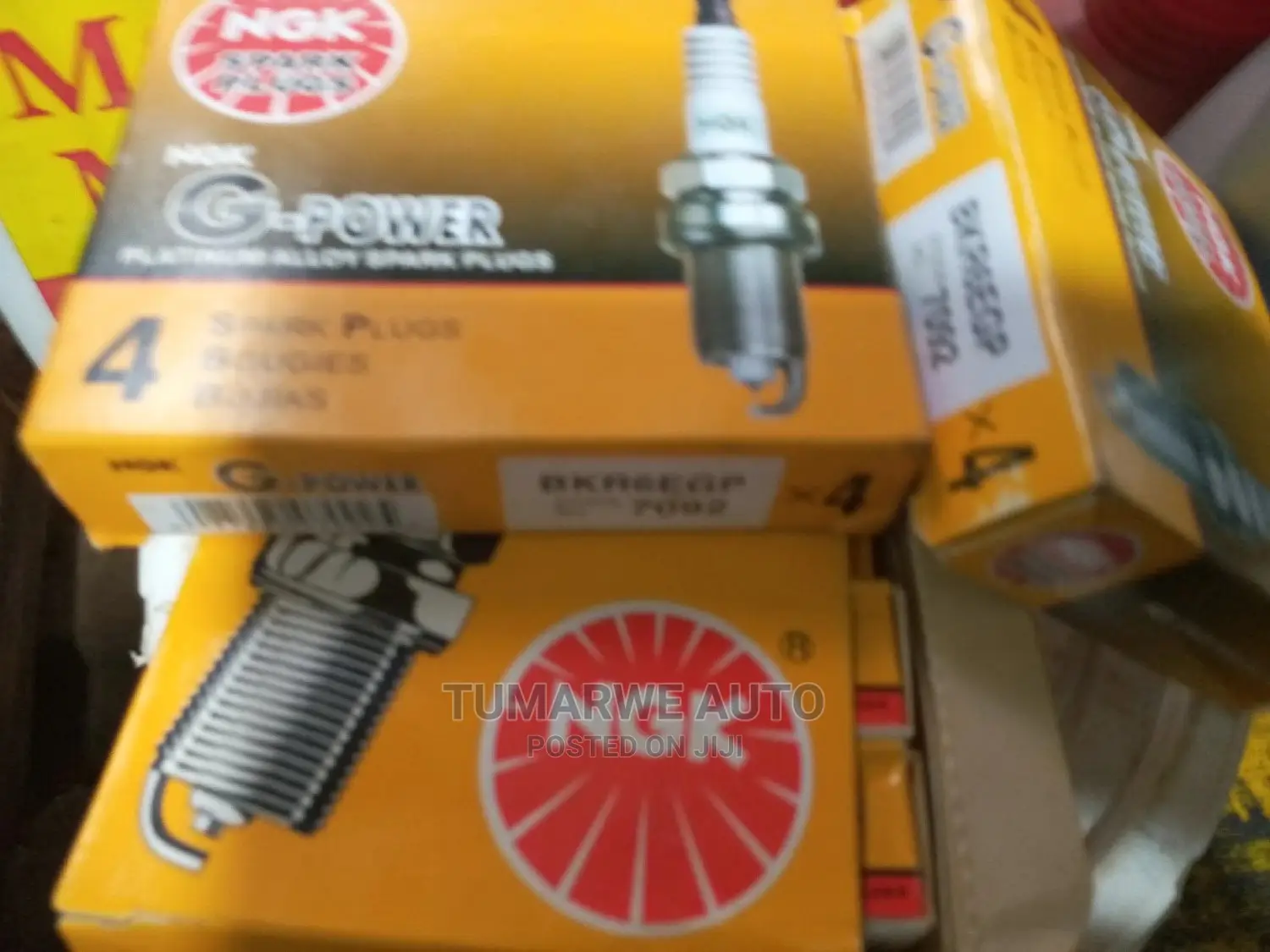 Ngk Plugs and Denso