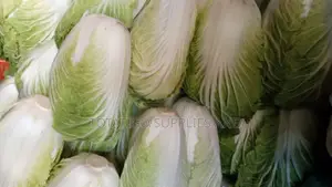 Photo - Fresh Chinese Cabbage