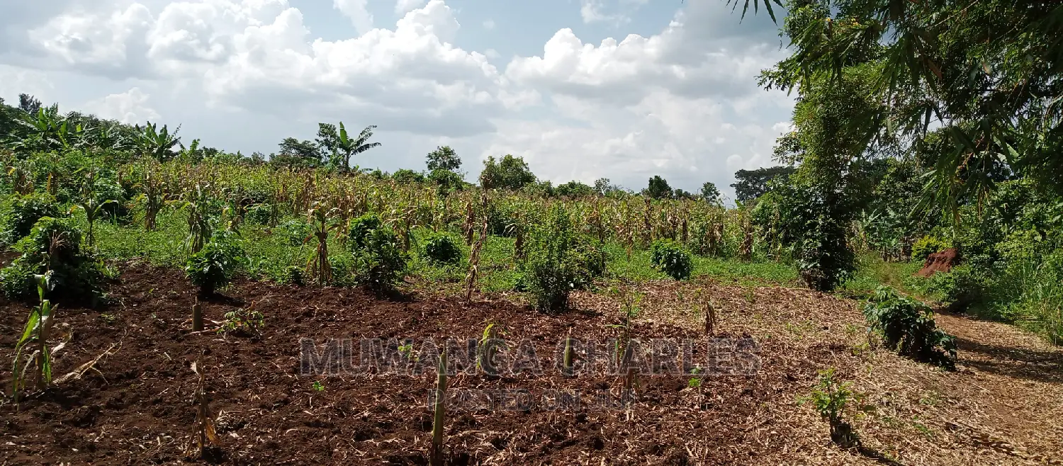 4acres of Land Is for Sale in Zirobwe