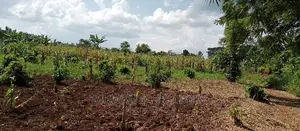 4acres of Land Is for Sale in Zirobwe