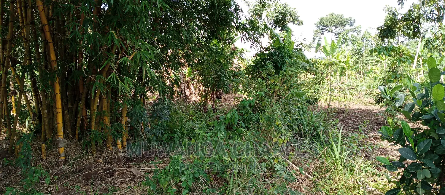 4acres of Land Is for Sale in Zirobwe