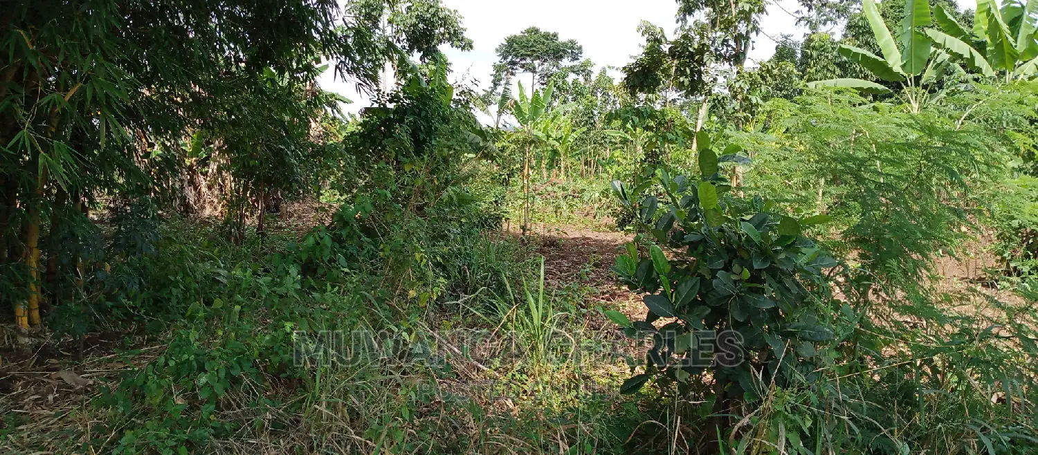 4acres of Land Is for Sale in Zirobwe
