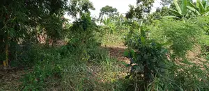 4acres of Land Is for Sale in Zirobwe