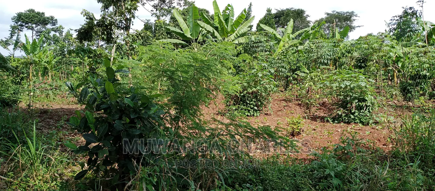 4acres of Land Is for Sale in Zirobwe