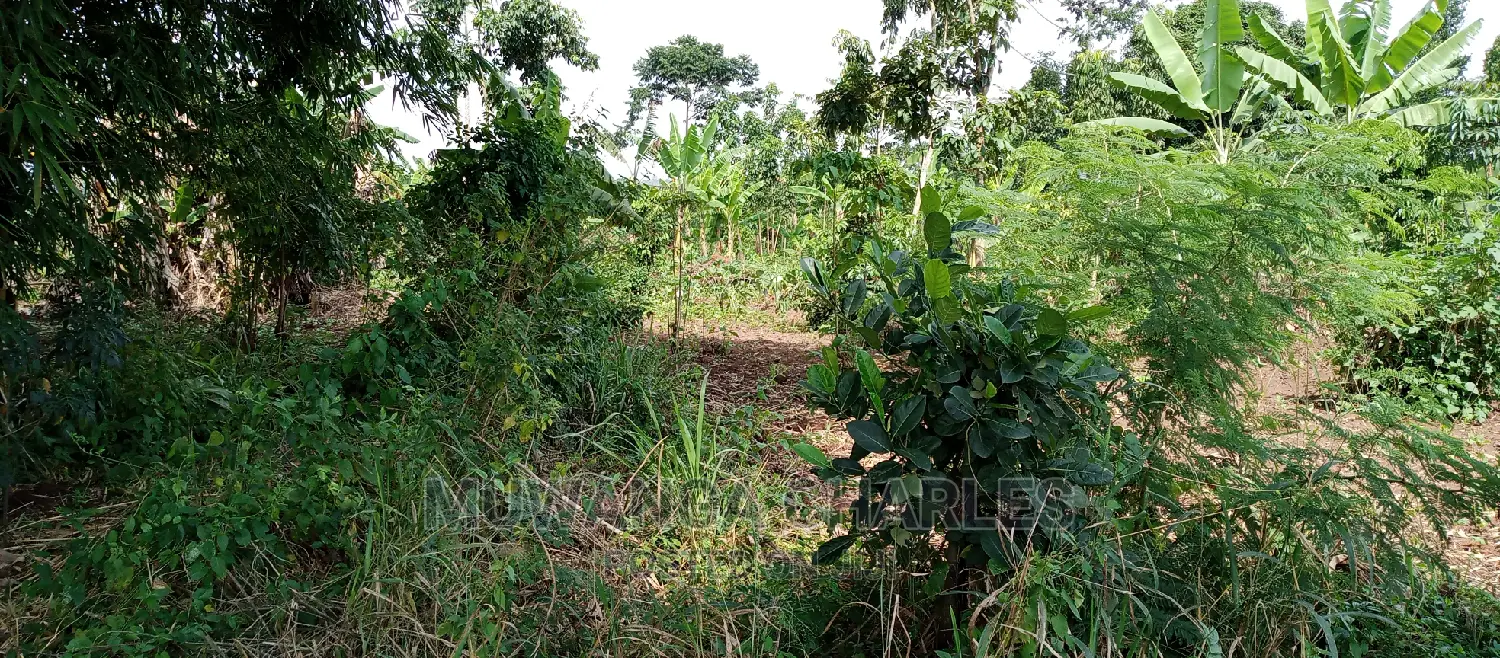 4acres of Land Is for Sale in Zirobwe