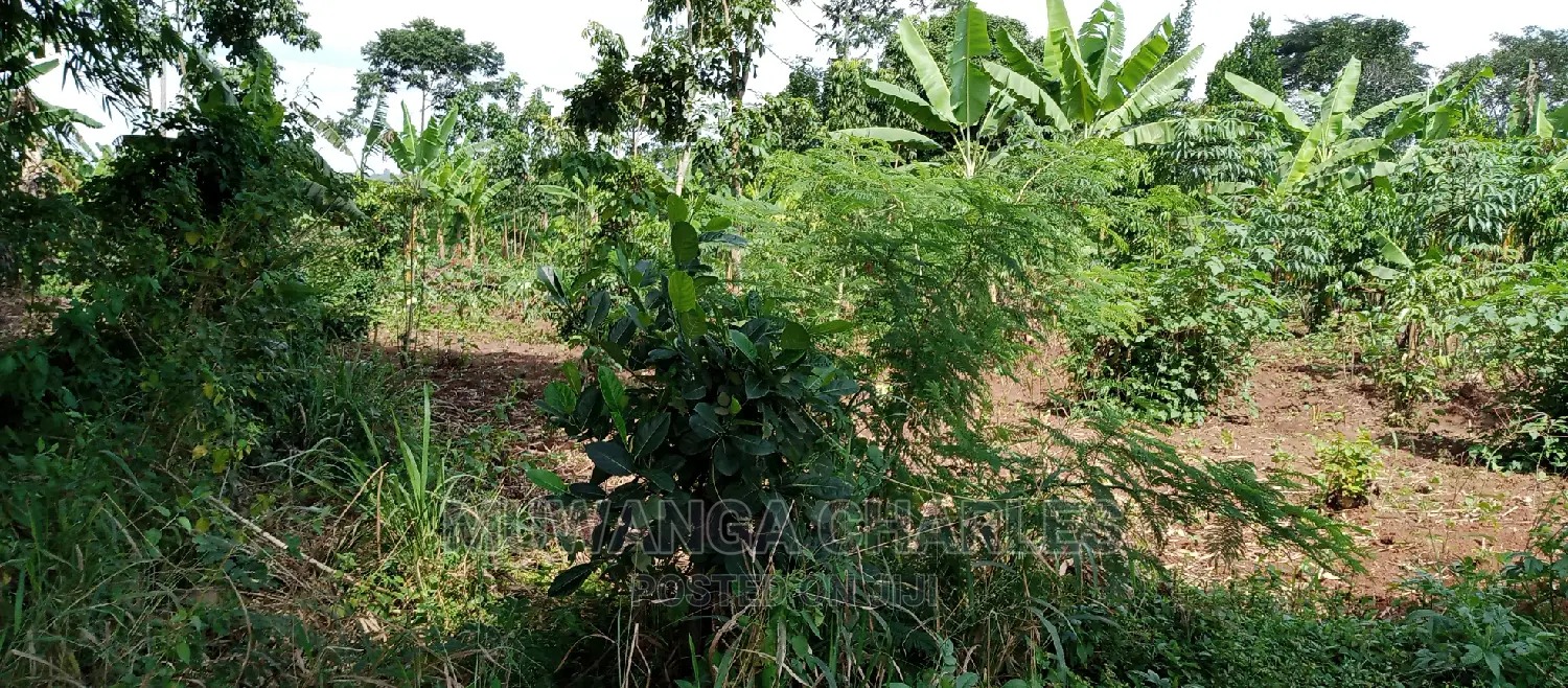 4acres of Land Is for Sale in Zirobwe