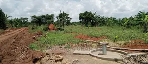 7acres Is for Sale in Zirobwe Nakabululu