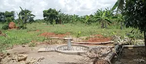7acres Is for Sale in Zirobwe Nakabululu