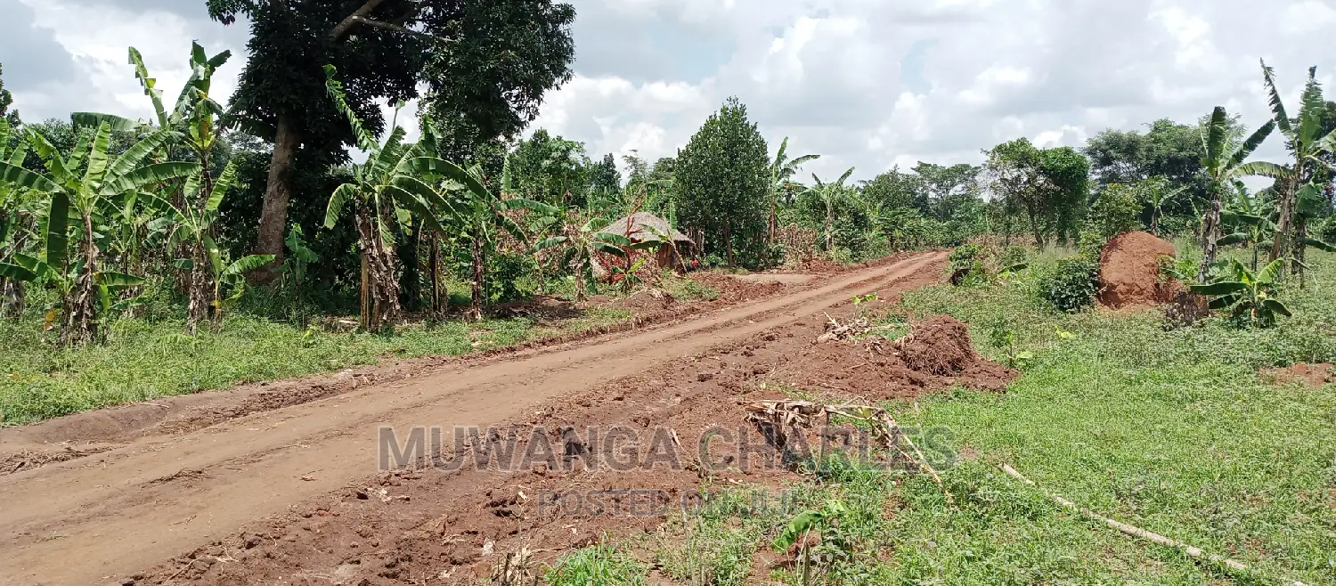 7acres Is for Sale in Zirobwe Nakabululu