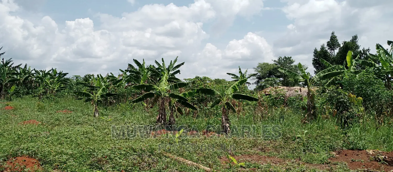 7acres Is for Sale in Zirobwe Nakabululu