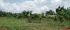 7acres Is for Sale in Zirobwe Nakabululu