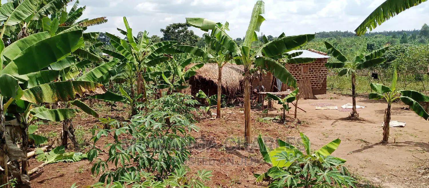 4acres Is for Sale in Zirobwe Wakatayi