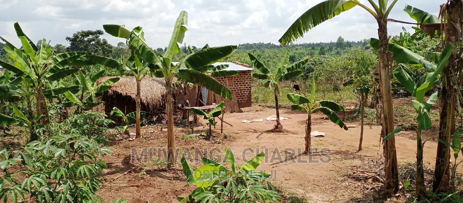 4acres Is for Sale in Zirobwe Wakatayi