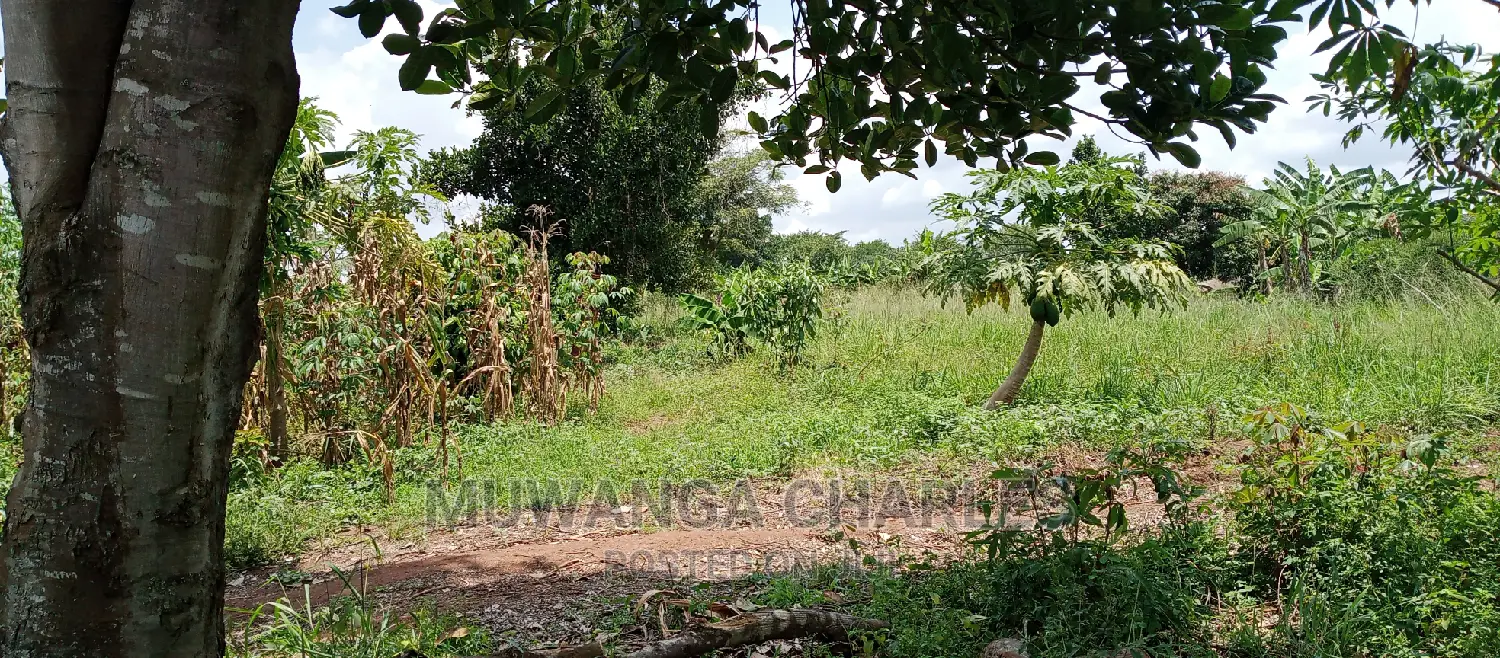 4acres Is for Sale in Zirobwe Wakatayi