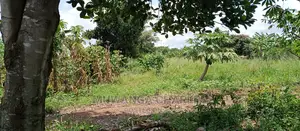 4acres Is for Sale in Zirobwe Wakatayi