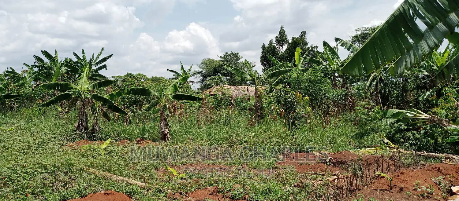4acres Is for Sale in Zirobwe Wakatayi