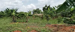 4acres Is for Sale in Zirobwe Wakatayi