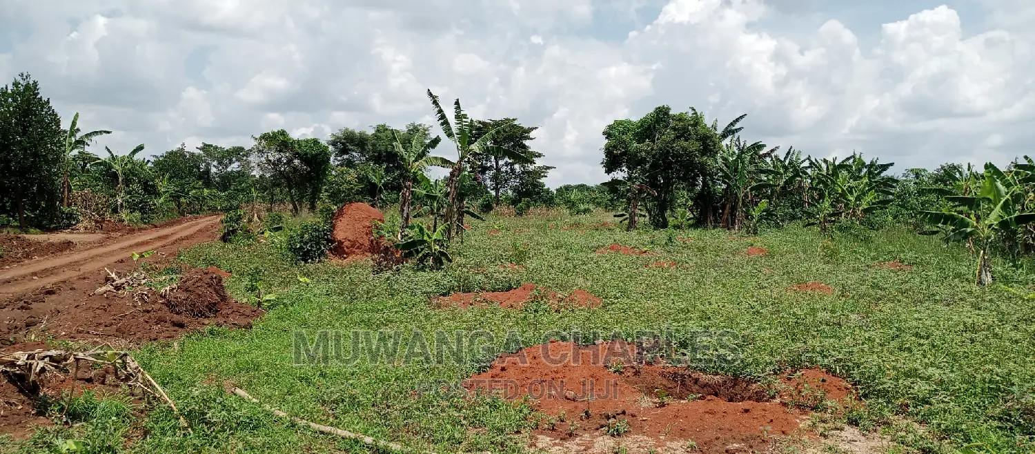 4acres Is for Sale in Zirobwe Wakatayi