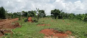 4acres Is for Sale in Zirobwe Wakatayi