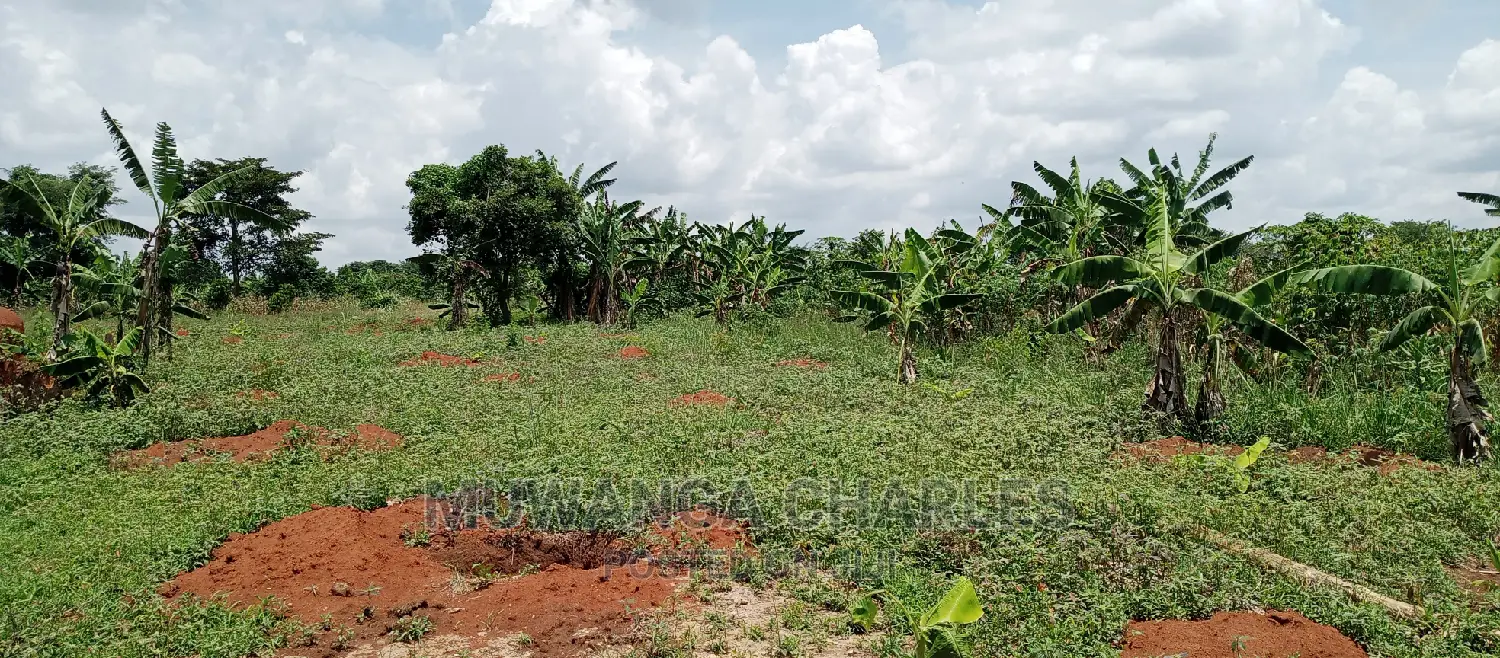 4acres Is for Sale in Zirobwe Wakatayi