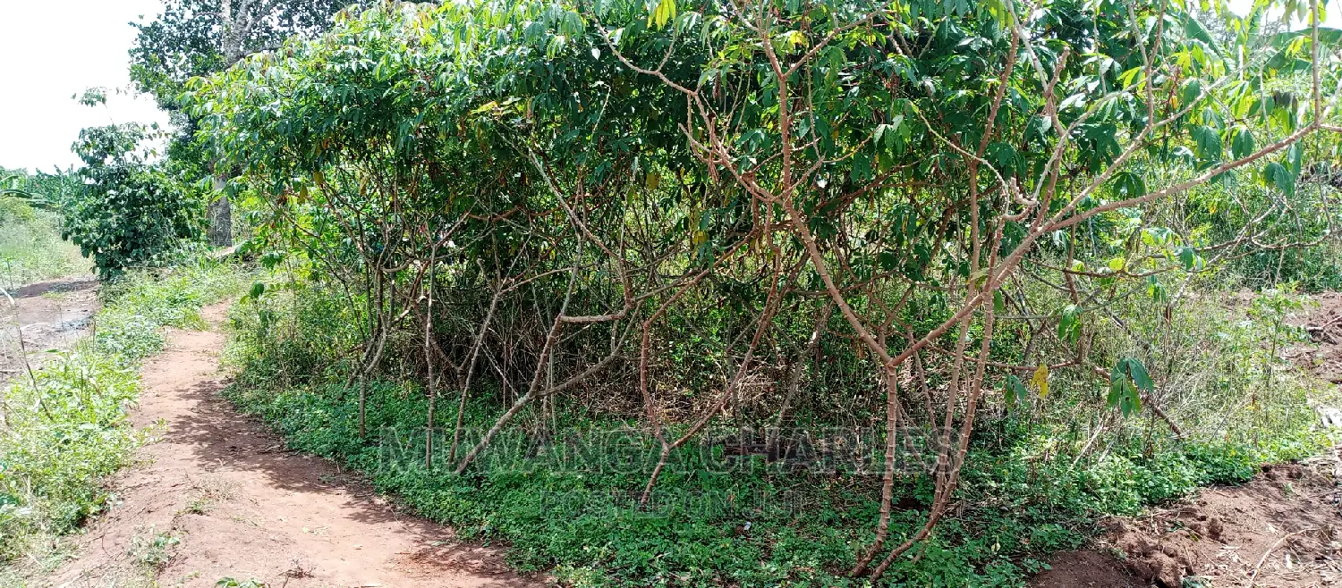 4acres Is for Sale in Zirobwe Wakatayi