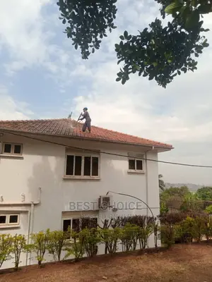 Photo - Reliable Roof Cleaners,Effective Roof Cleaning Services.
