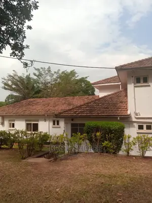 Reliable Roof Cleaners,Effective Roof Cleaning Services.