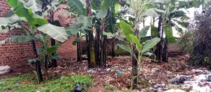 1bdrm House in Fs Properties Ltd, Kampala for Sale