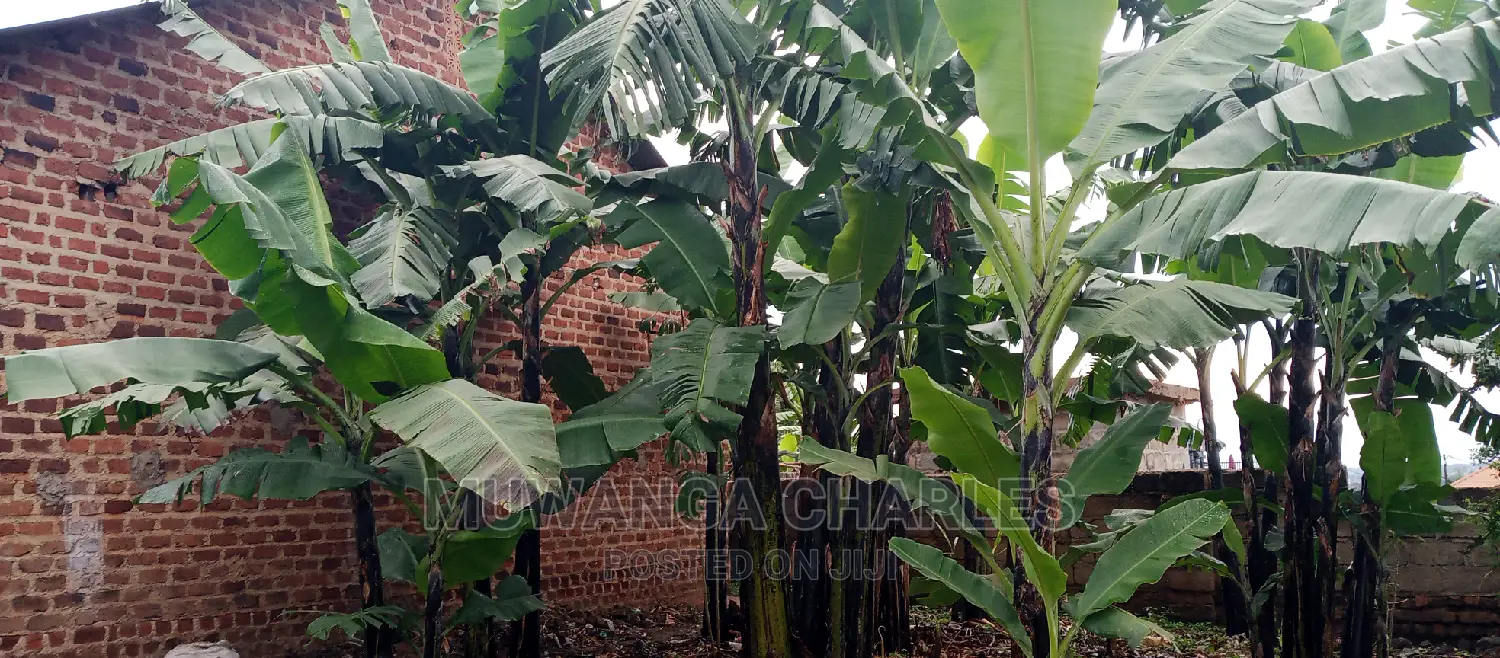1bdrm House in Fs Properties Ltd, Kampala for Sale