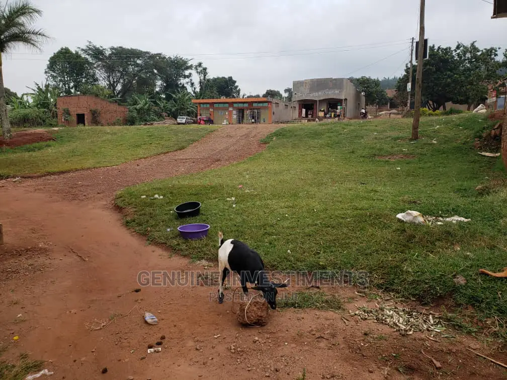 Commercial Land in Mpigi