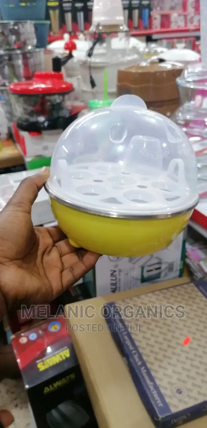 Electric Egg Broiler