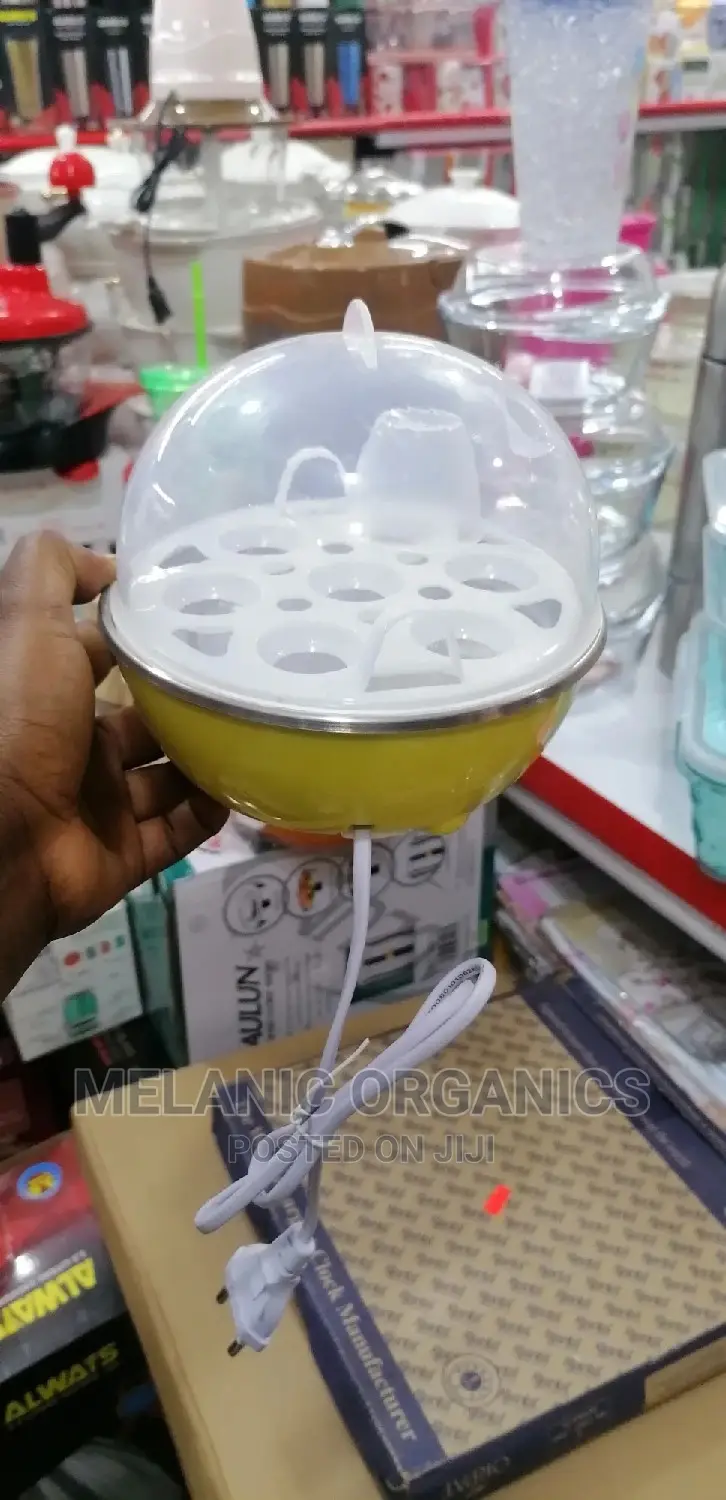 Electric Egg Broiler