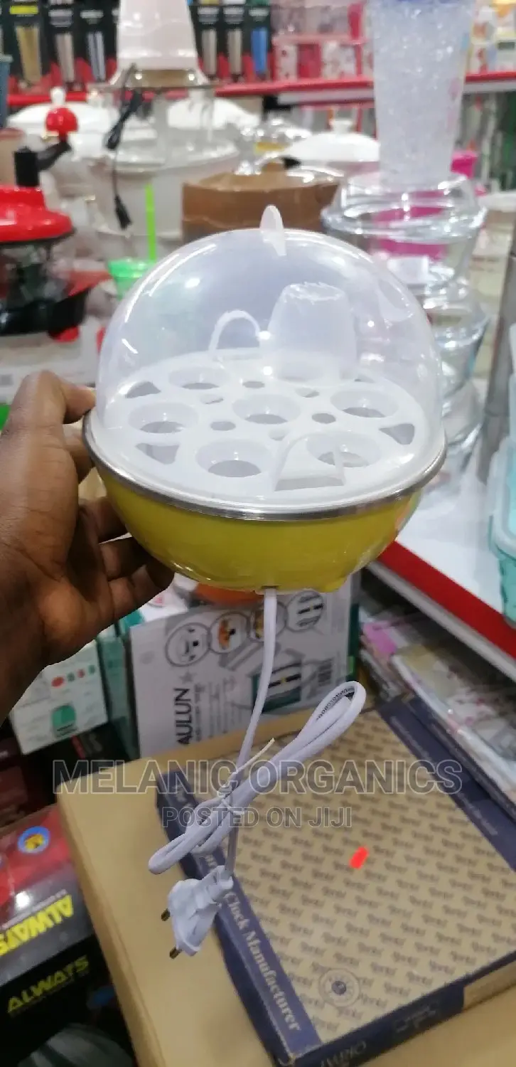 Electric Egg Broiler