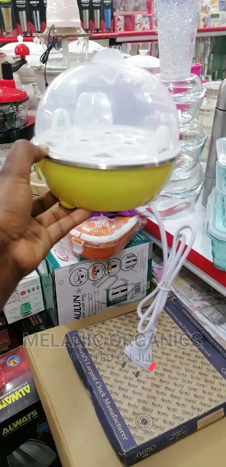 Electric Egg Broiler