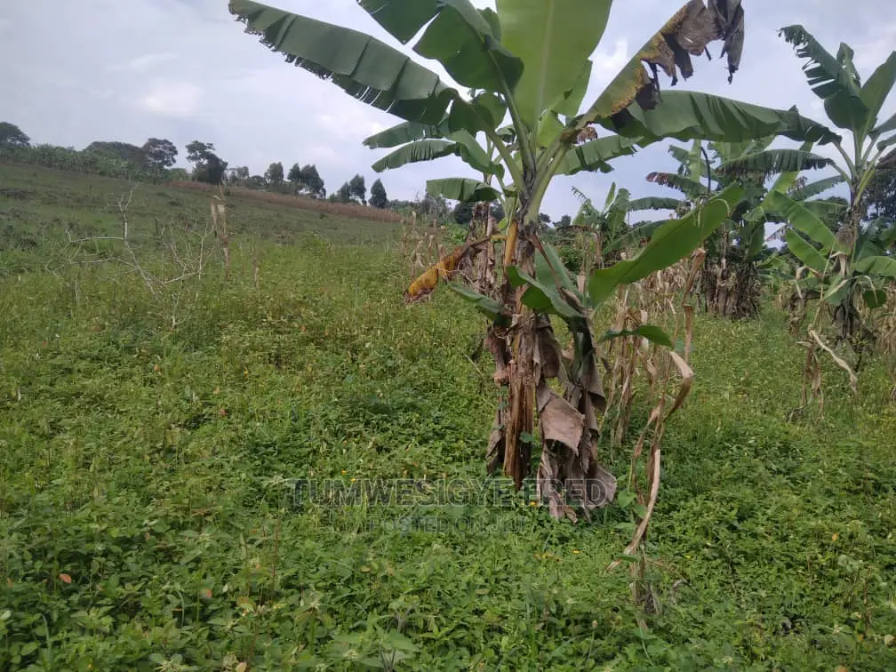 3 Square Miles of Land for Sale in Nakasongola