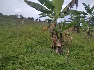 3 Square Miles of Land for Sale in Nakasongola
