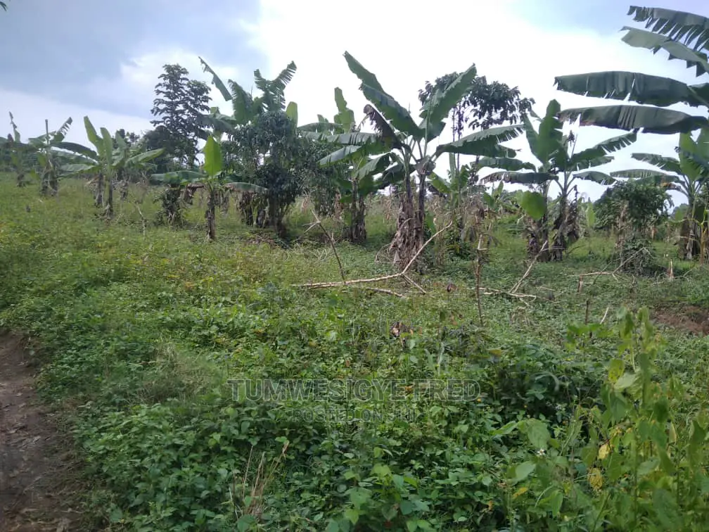 3 Square Miles of Land for Sale in Nakasongola