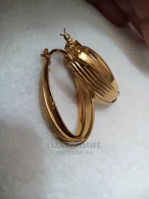 Genuine and Fancy Quality Earrings for the Ladies