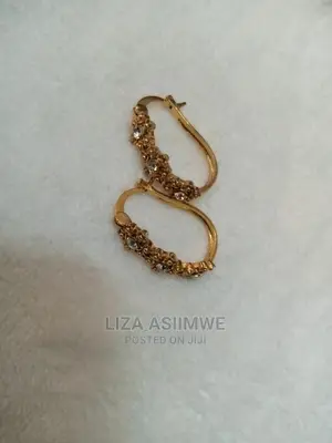 Genuine and Quality Lady Earrings