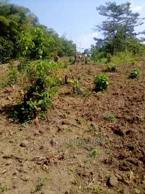 50/100 Plot for Sale in Kabembe Namirembe