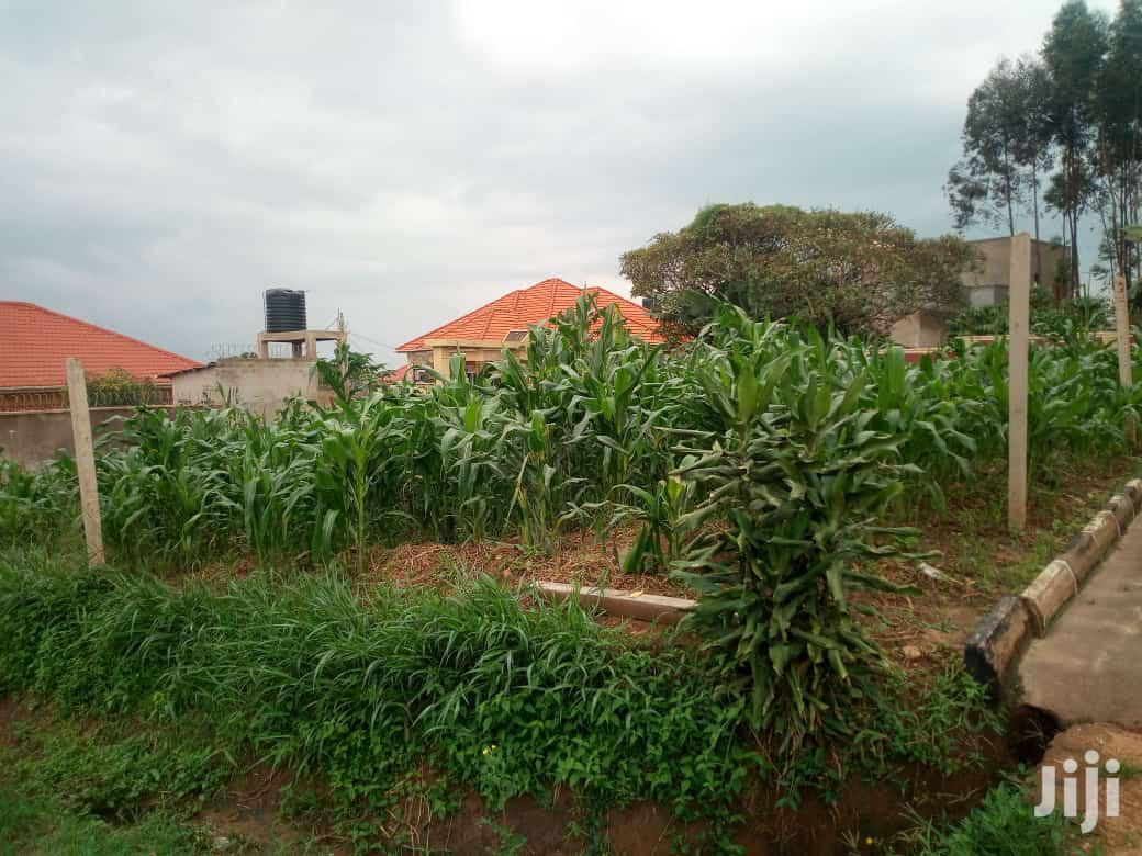 Very Hot Plot With Title On Forced Sale In Maya Nakirebe