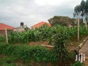 Very Hot Plot With Title On Forced Sale In Maya Nakirebe